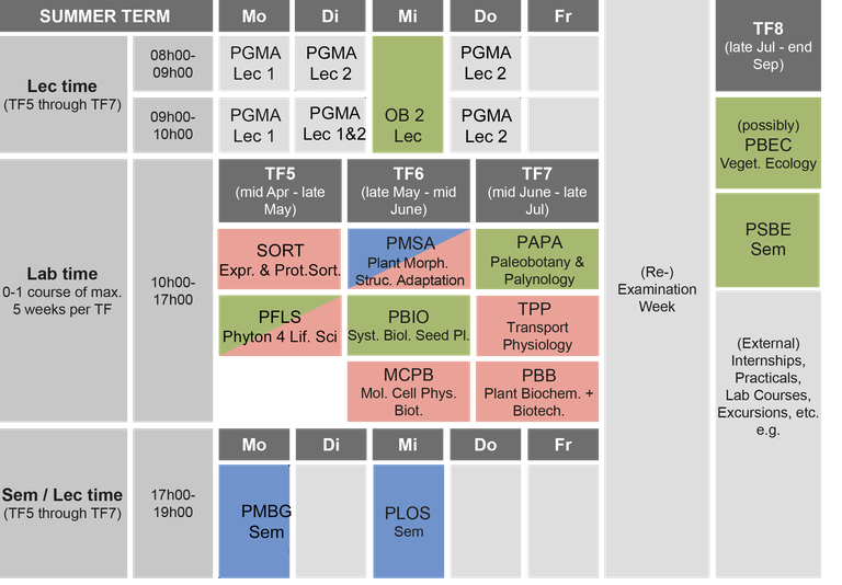 summer term.png