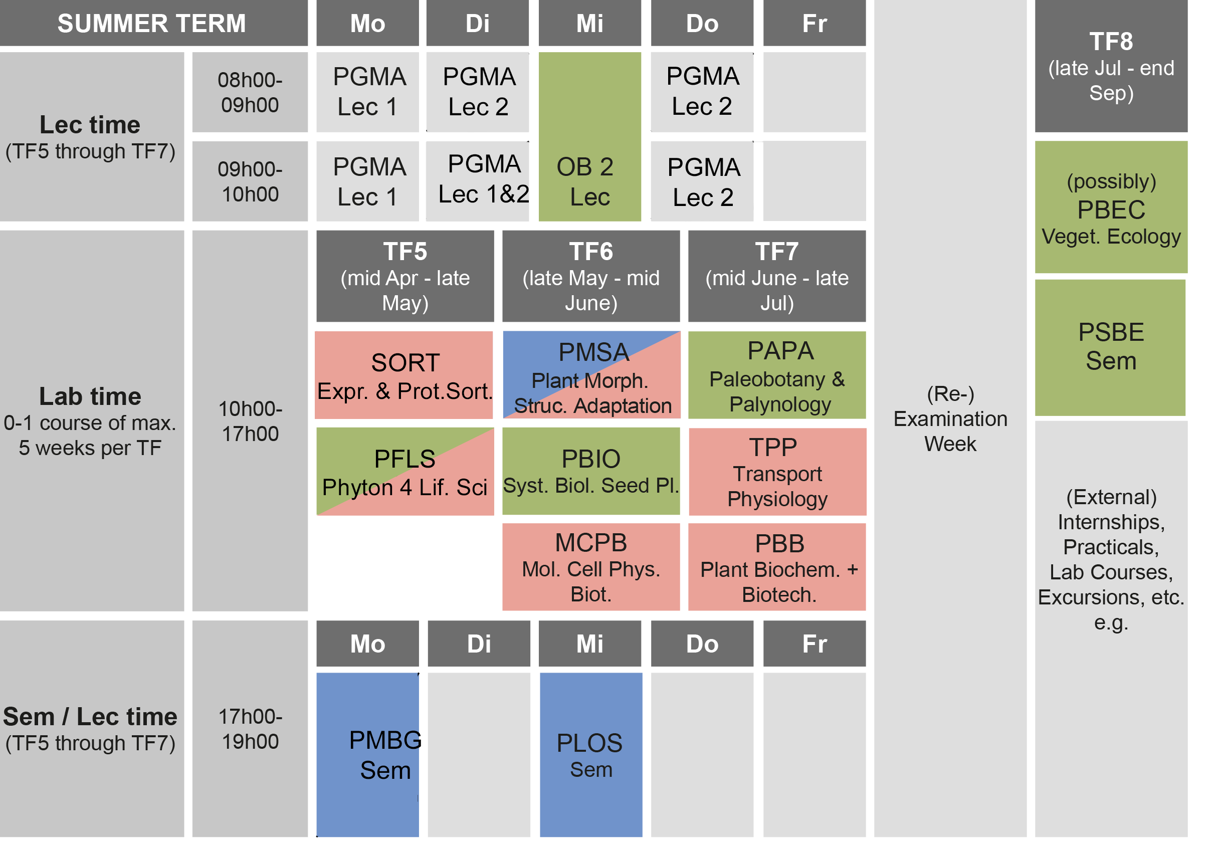 summer term.png