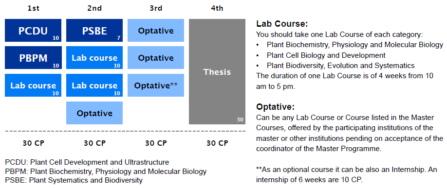 planofstudy.PNG