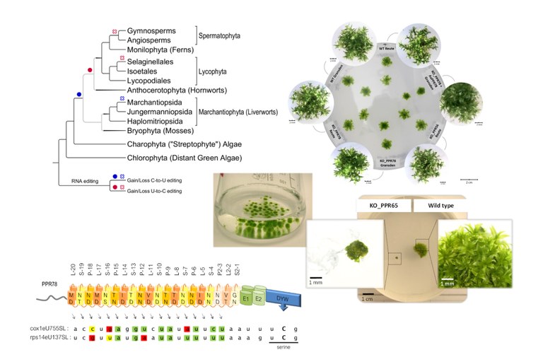 WBIO-B-04_2024.jpg